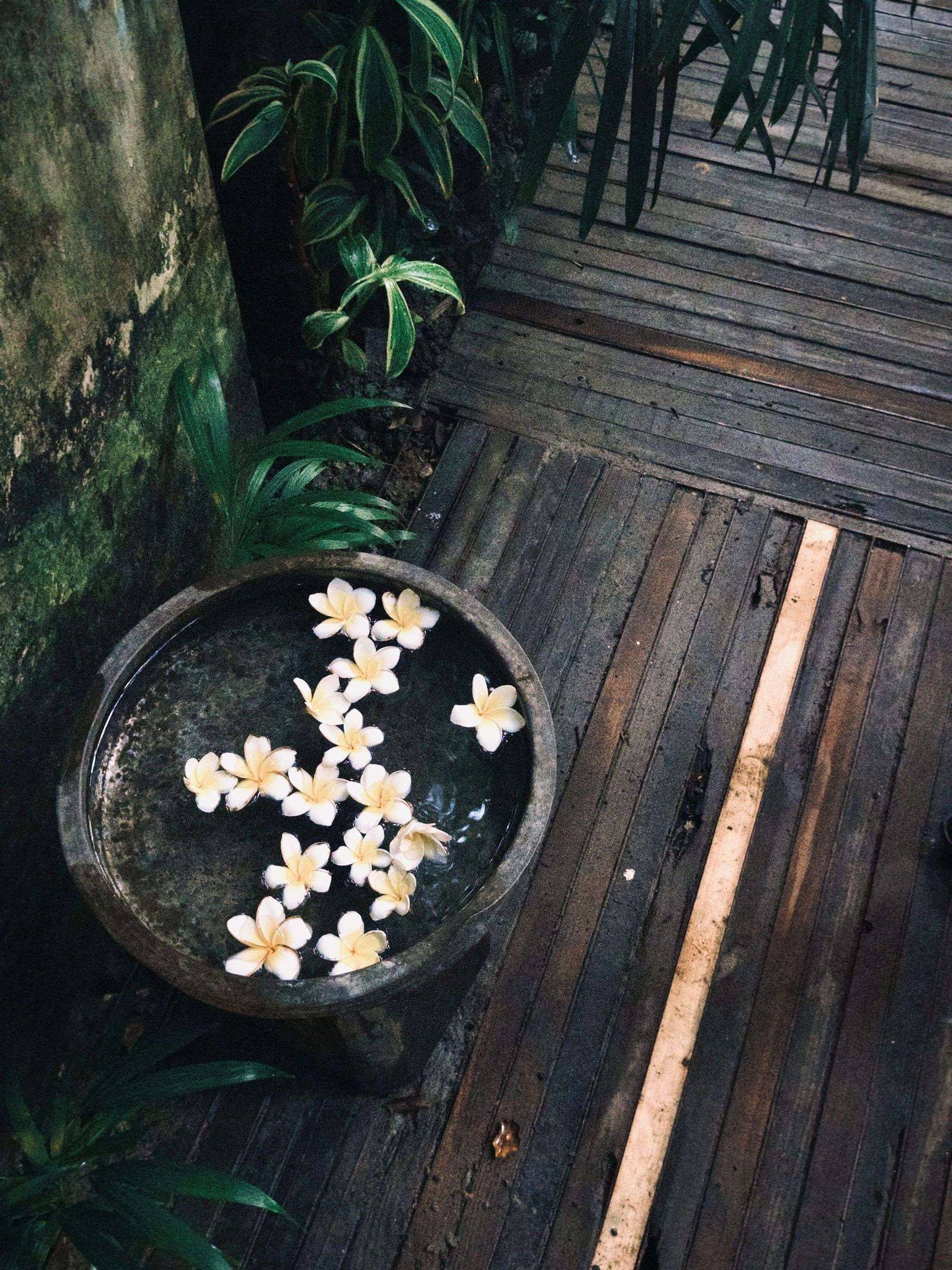 Frangipani blossoms floating in a stone basin